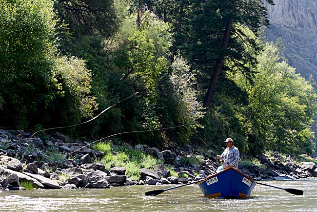 Fishing Specials and discounts